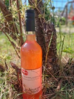 Blomme-Blåbær-Jordbærmjød