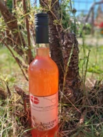 Blomme-Blåbær-Jordbærmjød
